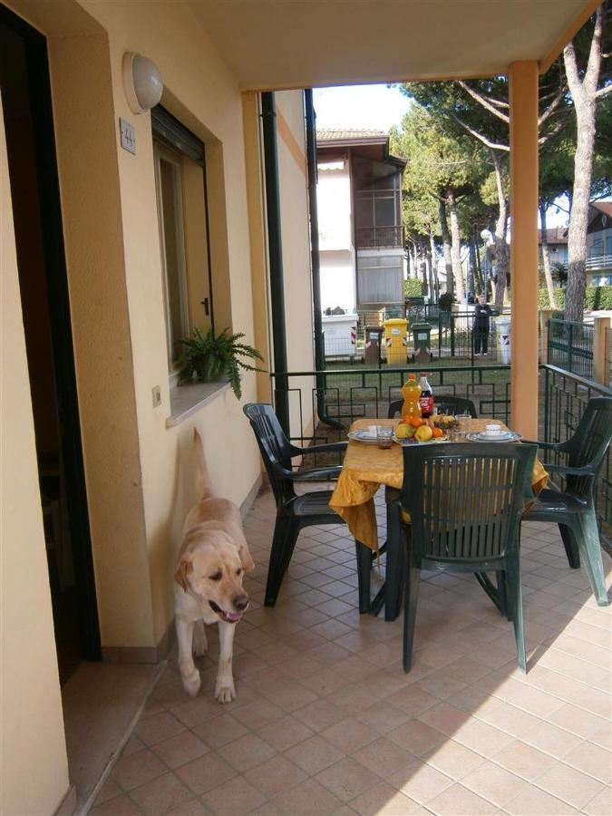 Luca Villa บิบิโอเน ภายนอก รูปภาพ